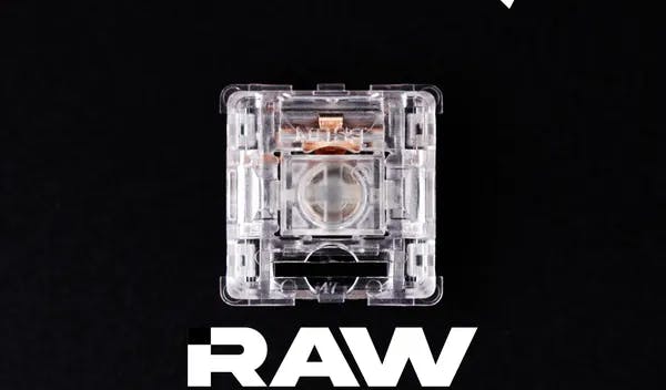 Picture of BSUN Raw Switches