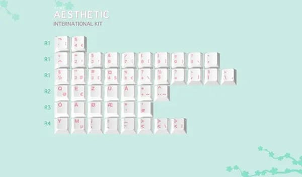 Picture of ePBT Aesthetic International [Pre-order]