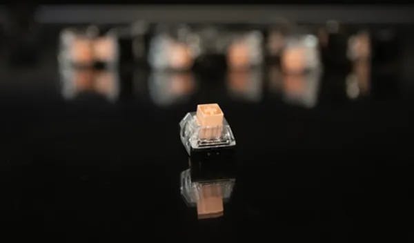 Picture of Hako Royal True Switches (10 pack)