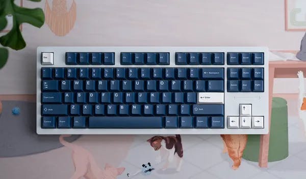 Picture of kfaPBT White on Navy Keycaps