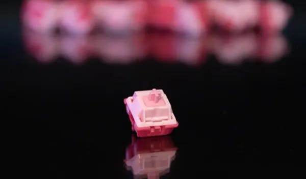 Picture of Korbs Switches by Tiny (10 pack)