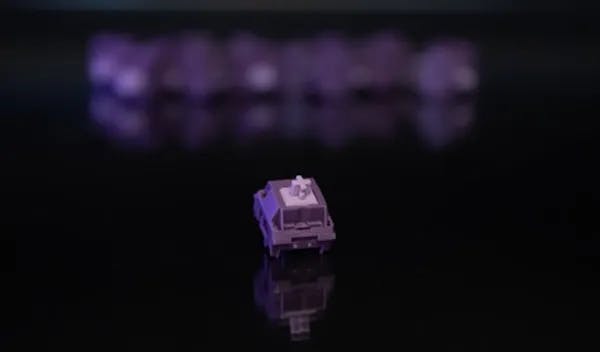 Picture of Purple Potato switches (10 pack)