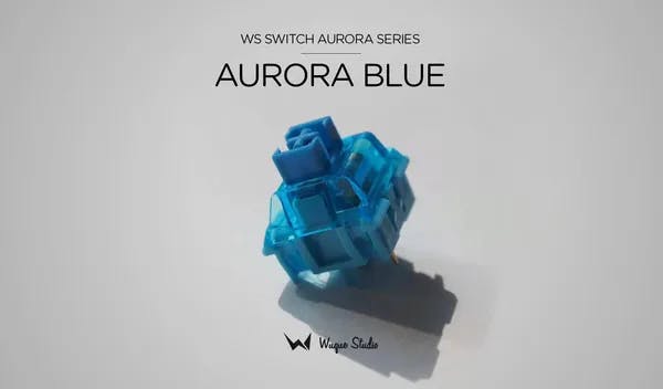 Picture of WS Switches Aurora