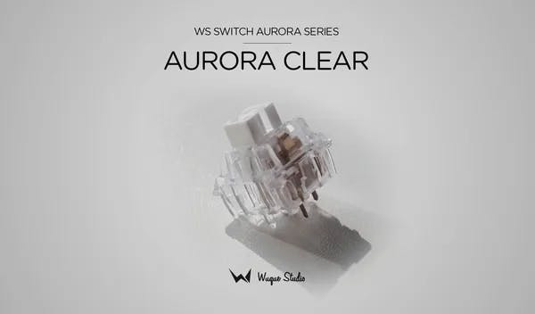 Picture of WS Switches Aurora