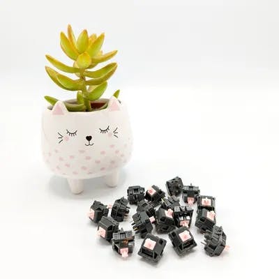 Image for Alpaca switches (10 pack)