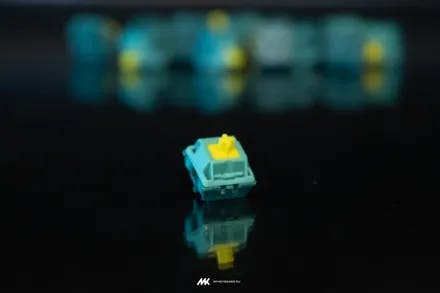 Image for Baltic Switches (10 pack)