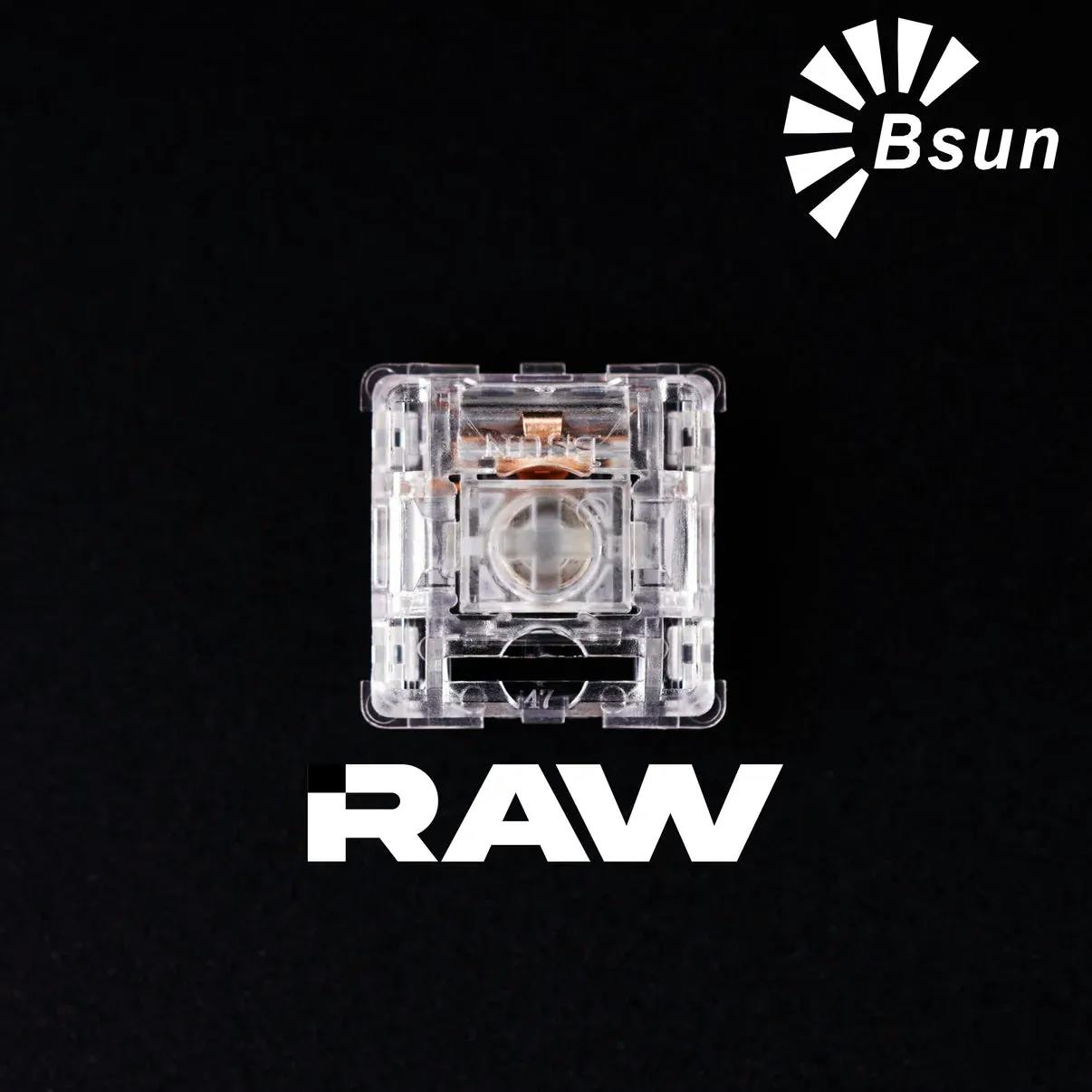 Image for BSUN Raw Switches