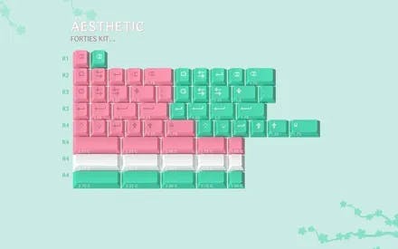 Image for ePBT Aesthetic 40s/Ortho