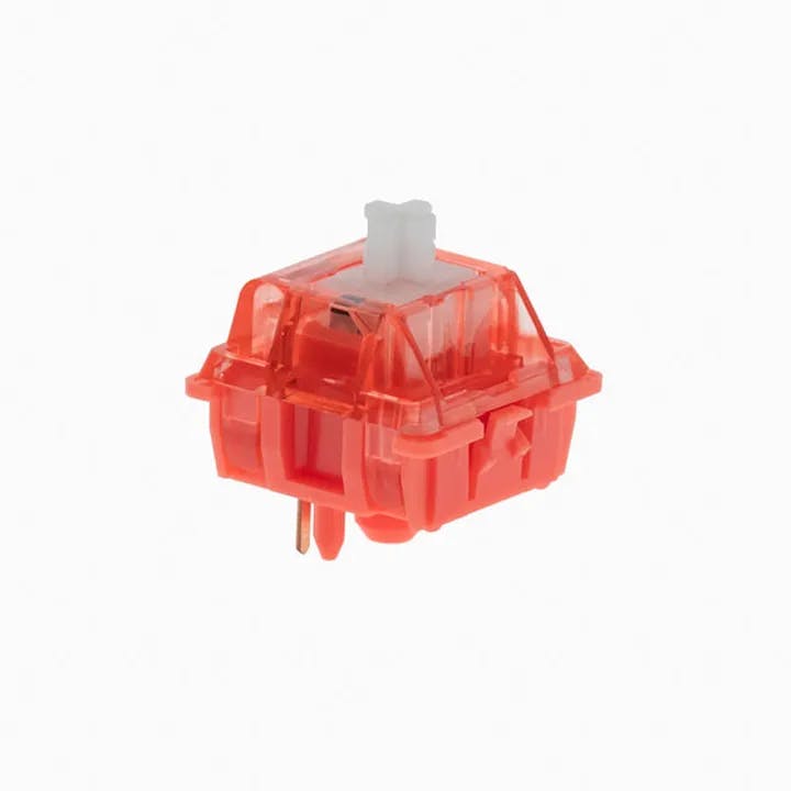 Image for (In Stock) Coral Switches (10 Pack)