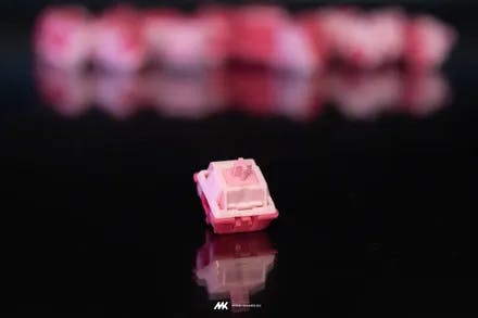 Image for Korbs Switches by Tiny (10 pack)