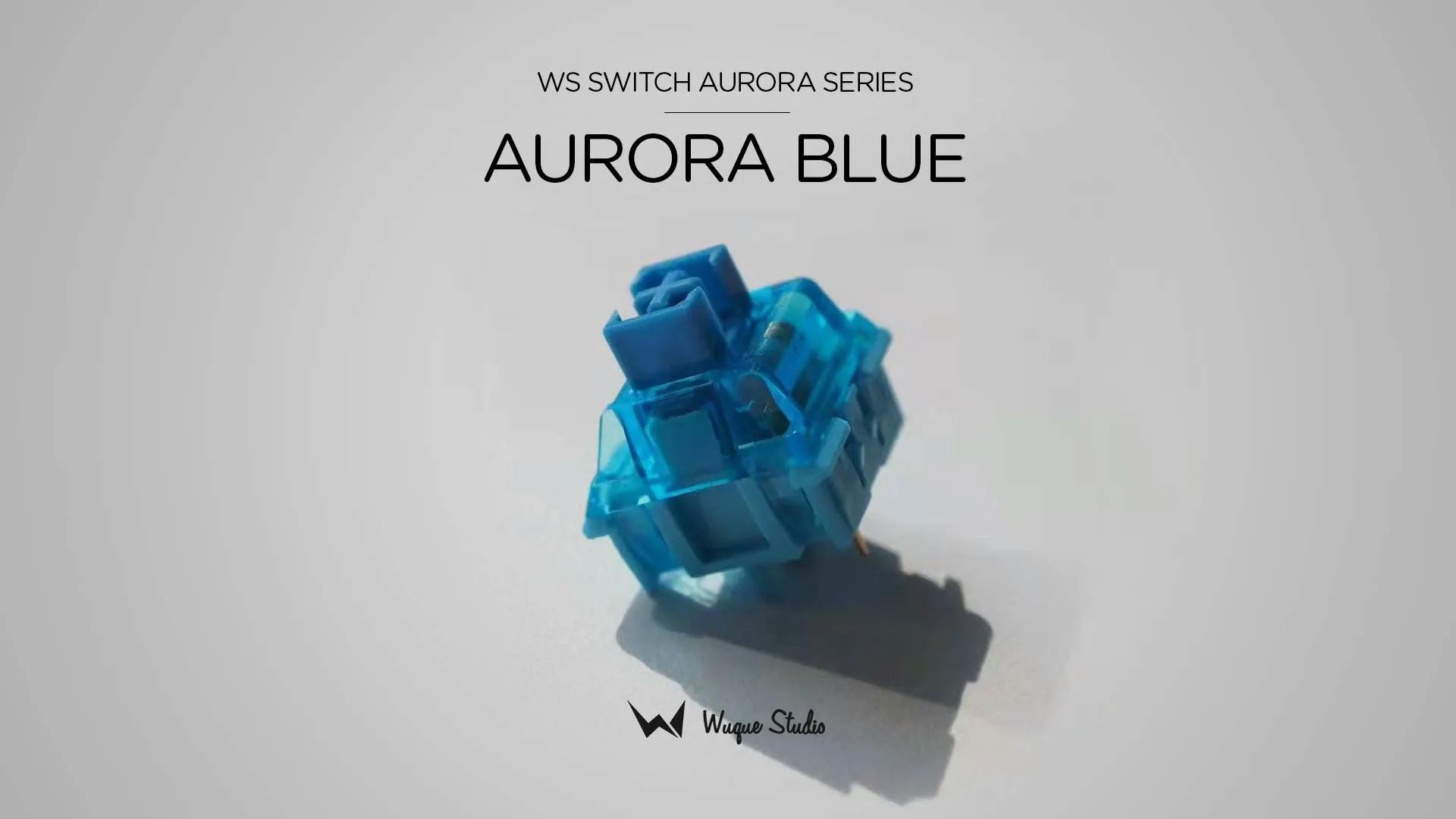 Image for WS Switches Aurora