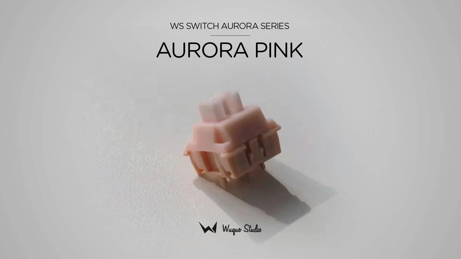 Image for WS Switches Aurora